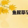 魚腥草孕婦能吃嗎（魚腥草簡介）
