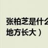 張柏芝是什么樣的一個人（她在香港最復雜的地方長大）