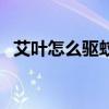 艾葉怎么驅蚊子最有效（艾葉驅蚊子方法）