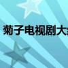 菊子電視劇大結局（電視劇菊子講的是什么）