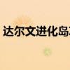達爾文進化島攻略（達爾文進化島攻略簡述）