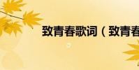 致青春歌詞(致青春歌簡介)