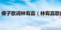 傻子歌詞林宥嘉(林宥嘉歌曲傻子完整歌詞)