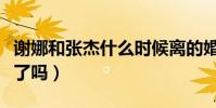 謝娜和張杰什么時候離的婚(謝娜和張杰離婚了嗎)