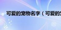可愛的寵物名字(可愛的寵物名字大全)