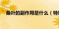 桑葉的副作用是什么(特殊時期不要吃)