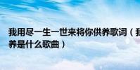 我用盡一生一世來將你供養歌詞(我用盡一生一世來將你供養是什么歌曲)