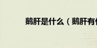 鵝肝是什么(鵝肝有什么營養)