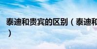 泰迪和貴賓的區別(泰迪和貴賓的區別是什么)
