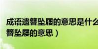 成語遺簪墜屨的意思是什么(怎么理解成語遺簪墜屨的意思)