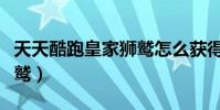 天天酷跑皇家獅鷲怎么獲得(天天酷跑皇家獅鷲)