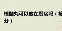 樟腦丸可以放在廚房嗎(樟腦丸有什么主要成分)