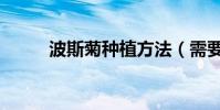 波斯菊種植方法(需要注意什么)