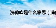 洗剪吹是什么意思(洗剪吹的意思)