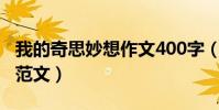 我的奇思妙想作文400字(我的奇思妙想作文范文)