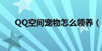 QQ空間寵物怎么領養(qq寵物領養)