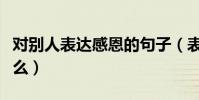 對別人表達感恩的句子(表達感恩的句子有什么)