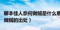 聊本佳人奈何做賊是什么意思(聊本佳人奈何做賊的出處)