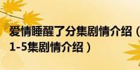 愛情睡醒了分集劇情介紹(電視劇愛情睡醒了1-5集劇情介紹)