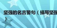 堅強的名言警句(描寫堅強的名言警句有哪些)