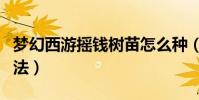 夢幻西游搖錢樹苗怎么種(種植搖錢樹苗的方法)