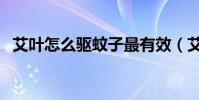 艾葉怎么驅蚊子最有效(艾葉驅蚊子方法)