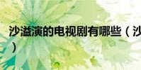 沙溢演的電視劇有哪些(沙溢演的電視劇推薦)