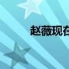 趙薇現在的老公是誰（哪一年的）