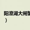 陽澄湖大閘蟹上市時間（大閘蟹什么時候上市）