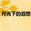 月光下的遐想作文（月光下的遐想作文范文）