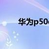 華為p50e多少錢 華為p50e多少錢 