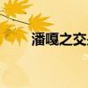 潘嘎之交是什么梗（潘嘎之交解釋）