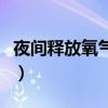 夜間釋放氧氣的植物（什么植物夜間釋放氧氣）