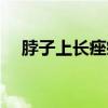 脖子上長痤瘡怎么辦（今天就教你幾招）