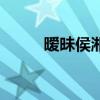 曖昧侯湘婷歌詞（曖昧歌詞介紹）