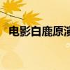 電影白鹿原演員表（電影白鹿原演員介紹）