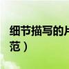 細節描寫的片段200字左右（作文細節描寫示范）