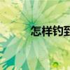 怎樣釣到草魚（草魚吃什么食物）