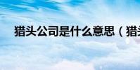 獵頭公司是什么意思(獵頭公司的含義)