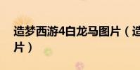 造夢西游4白龍馬圖片(造夢西游4白龍馬圖片)