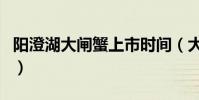 陽澄湖大閘蟹上市時間(大閘蟹什么時候上市)