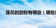 蓮花的別稱有哪些(哪些是蓮花的別稱)