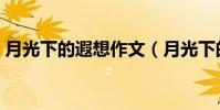 月光下的遐想作文(月光下的遐想作文范文)