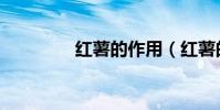 紅薯的作用(紅薯的用途)