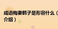 成語梅妻鶴子是形容什么(成語梅妻鶴子意思介紹)