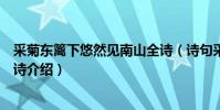 采菊東籬下悠然見南山全詩(詩句采菊東籬下悠然見南山全詩介紹)