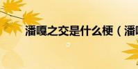 潘嘎之交是什么梗(潘嘎之交解釋)
