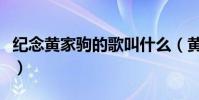 紀念黃家駒的歌叫什么(黃家駒去世于哪一年)