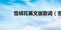 雪絨花英文版歌詞(雪絨花介紹)