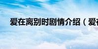 愛在離別時劇情介紹(愛在離別時簡介)